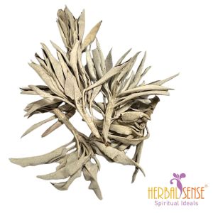 SI Smudging White Sage (loose) To Purify Negative Energy Authentic  From USA