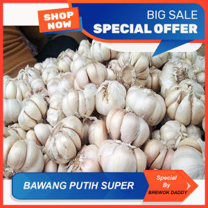 Bawang Putih SUPER Bawang Merah Bawang Putih Super Brewok Daddy