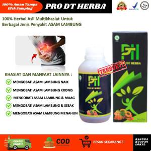 Obat Maag Kronis Paling Ampuh Asam Lambung Mual Muntah Lambung Perih dan Luka Nyeri Ulu Hati Gerd Original Herbal Alami 300gram PRO DT HERBA
