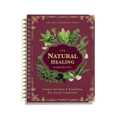 ✨Hot Sale✨The Natural Healing Handbook – Simple Recipes And Therapies For Every Condition/The Natural Healing Handbook – Simple Recipes and Therapies for Every Condition