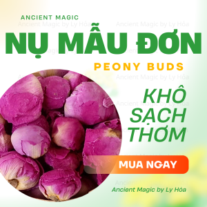 20 LOẠI HOA KHÔ gói 10g | Witchcraft trà hoa khô trang trí nến thơm xà phòng resin... | Ancient Magic by Ly Hỏa
