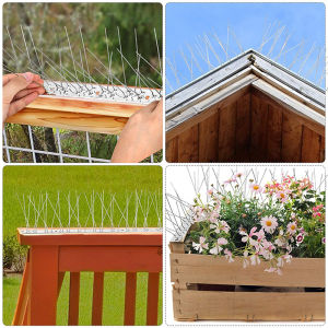 [Alex Do] Hot Sale Stainless Steel Pigeon Spikes Bird Repeller Deterrent Traps Anti-bird Repellent Pest Control Garden Balcony Thorn Nail Kit