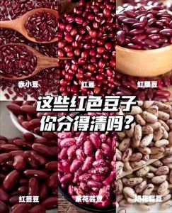 [LOHAS] Organic Red Kidney Bean 有机红肾豆 500g 红腰豆 腰豆