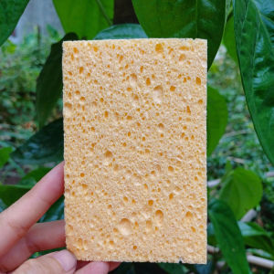 ComBo 5 miếng Bọt Biển Bột Gỗ Tự Nhiên Để Rửa Bát Vệ Sinh Chảo Siêu Sạch