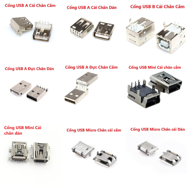 Gói 5 cổng USB A Cái chân cắm, chân dán, USB A đực, USB B cái cắm, USB ...