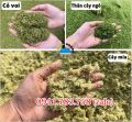 Máy băm nghiền cỏ thế hệ mới Bình Quân - xay cỏ siêu mịn. 