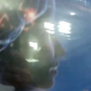 Fisiologi Perilaku Edisi 13 Jilid 2 (Neil R Carlson)