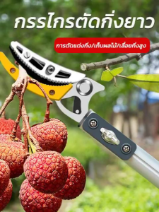 วัสดุสแตนเลสกรรไกรตัดกิ่ง ตัดกิ่งไม้เร็ว ประหยัดแรงงาน อุปกรณ์ตัดแต่งกิ่งมืออาชีพ (กรรไกรตัดกิ่งด้ามยาว กรรไกรตัดกิ่งไม้ กรรไกรตัดกิ่งไม้สูง เก็บผลไม้บนที่สูง กรรไกรแต่งกิ่ง กรรไกรตัดกิ่งไม้ด้ามยาว กรรไกรด้ามยาว กรรไกรตัดผลไม้ กรรไกรเก็บผลไม้）