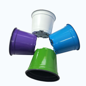 กระถางบาง กระถางนิ่ม 10 ชิ้น กระถางอ่อน กระถางสวย กระถางสี กระถางปลูกบอนสี กระถางปลูกดอกไม้ กระถางน่ารัก กระถาง 7 นิ้ว กระถางถูก