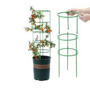 CANICE 3 Set Green Plant Support Pile Half Round Removable Bonsai Fixing Rod Durable Easy to Use Climbing Vines Stake
