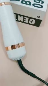 AUgrooming tool: a hair dryer and comb in one designed for removing loose fur and grooming dogs