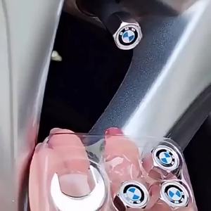 Metal Car Tire Valve Caps Universal Fit Anti-Theft Set of 5 with Wrench Copper Core Black Valve Stem Caps