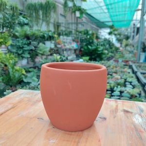 Chậu đất nung Bình Dương - Bầu nhỏ đường kính miệng 13cm chiều cao 13cm