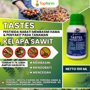Obat Kumbang Tanduk Kelapa Sawit / Obat Pembasmi Hama Kelapa Sawit / Obat Kuning Daun Kelapa Sawit / Obat Mati Pucuk Kelapa Sawit / Obat Daun Sawit