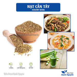 Lá hương thảo sấy lạnh 100g (Rosemary gia vị thảo mộc ướp thịt nướng tạo hương thơm cho món ăn) - Thảo Dược Hạnh Nguyên