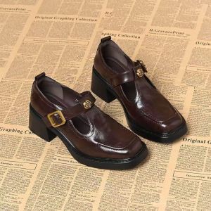 Free Shipping WomenS Soft Leather Square-Toe Retro Platform Shoes 2026 Autumn New Collection Chunky Heel Soft Sole Single-Strap Flats
