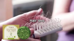 Hoegoa Olive Bitter Gourd Tea Tree Shampoo Soap Plant Ingredients Clean Hair Gentle Care Nourish Scalp