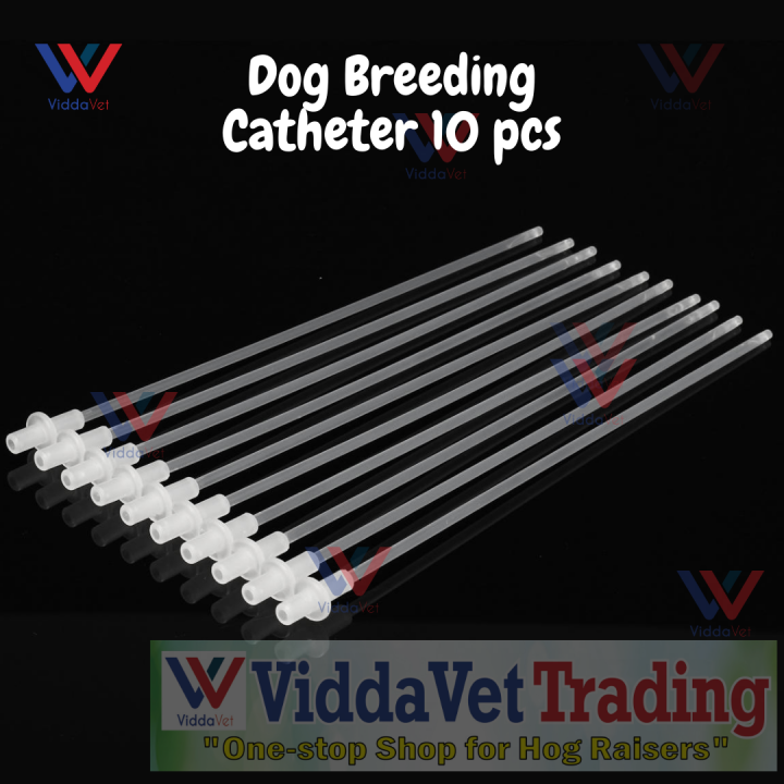 50LB 10pcs Disposable Pigs Sheep Artificial Insemination Breed Catheter Tube Rod I.1029551118