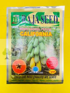 Benih unggul pepaya CALIFORNIA dari raja seed. Isi 1gram