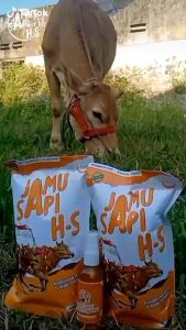 Jamu Ternak HS Menambah makan dan minum hewan sapi kuda kambing domba kerbau