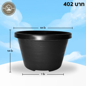 กระถาง กระถางทรงถ้วย กระถางเตี้ย ขนาด เบอร์ 10 9.5 นิ้ว สีดำ ยกมัด 50 ใบ