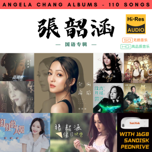 [110首] USB Pendrive Music 音乐USB 张韶涵国语专辑 mp3 超高音质 16gb 流畅播放 Angela Chang Songs 车载音乐
