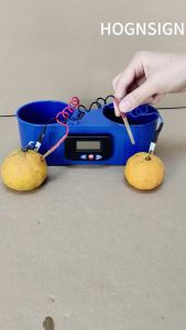 Fruit clock fruit battery clock potato clock fruit electronic clock childrens primary and secondary school scientific