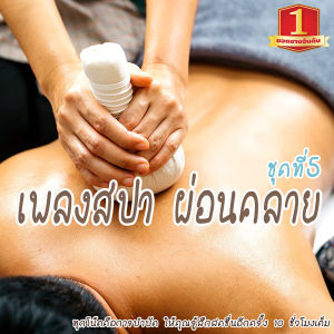 เพลงสปา mp3 (ชุดที่ 5) SPA Music สำหรับร้านนวด เพลงร้านสปา ผ่อนคลาย บำบัดจิตใจคลายเครียด แฟลชไดร์ฟ USb Mp3