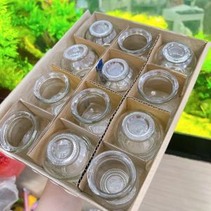 Bộ ống giác hơi 12 ống - Bộ 12 vắt hơi thuỷ tinh Cao Cấp