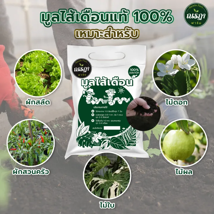 ปุ๋ยมูลไส้เดือนแท้ เกรด A ไม่ผสมดิน สำหรับแคนตัส