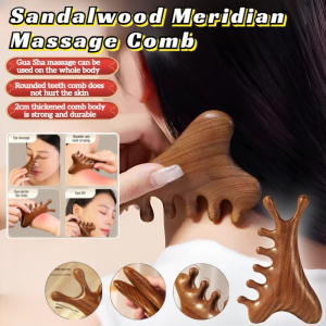 Head Eye Scalp Unblocking Meridian Massage Comb 4in1 Sandalwood Massage Comb  Head Meridian Scalp Comb