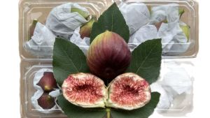 BUAH TIN 1 KG BUAH TIN LOKAL DARI BANDUNG