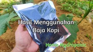 BAJA KOPI NPK 8:8:8 (PREMIUM QUALITY)