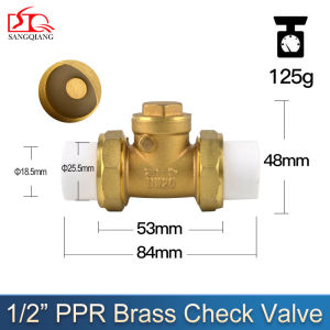 BEXON Hub    PPR Brass Fittings Double Union Swing Check Valve Water hot melt SIZE (1/2“ 3/4” 1“ 1-1/4” 1-1/2“ 2“ )
