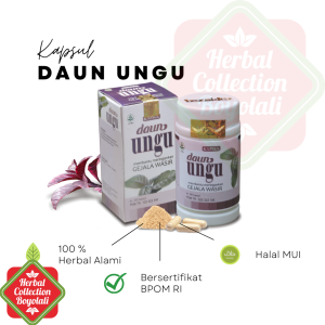 TAZAKKA Kapsul Herbal Daun Ungu - Penyegar Alami & Pemberi Daya Konsumsi untuk Wasir/Ambeyen