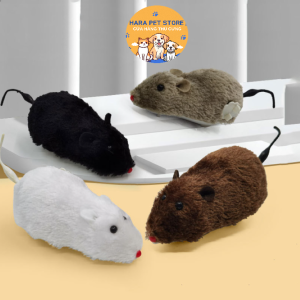 Đồ chơi cho Chó Mèo chuột lên dây cót vui nhộn (mẫu mới) - Hara Pet Store