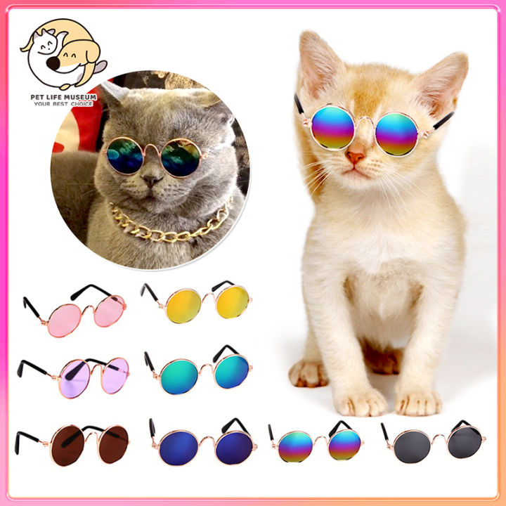 funny cat in round sunglasses close-up Stock Photo | Adobe Stock