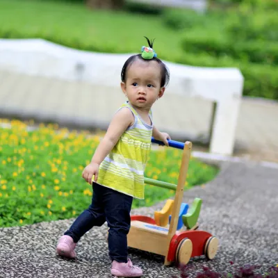 Xe tập đi gỗ hình 3 con gà - Xe gỗ tập đi hình 3 con gà