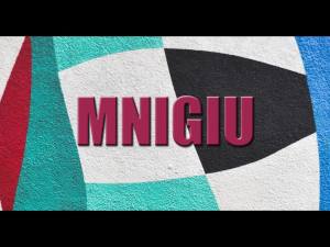 MNIGIU Duck Cosmetic Bag Anatomy Of A Duck Duck Lover Gift Travel Zipper Pouch Duck Farm Farmer Gift (Anatomy Duck bag)