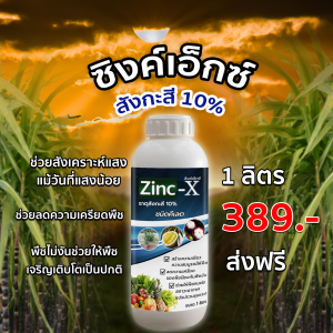 ซิงค์เอ็กซ์ สังกะสี10% ชนิดคีเลต ป้องกันและกำจัด เชื้อรา เชื้อแบคทีเรีย ไวรัส ขนาด 1 ลิตร