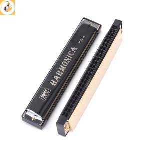 EOY 24 Hole Key Of C Play Harmonica Tremolo Harmonica Mouth Organ Double Row Blues