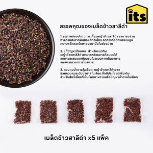 itspet 🛒 : ชุดปลูกหญ้าแมว หญ้าแมว เมล็ดข้าวสาลี ถาดเพาะต้นอ่อน ชุดปลูกต้นสาลี ข้าวบาร์เล่ย์