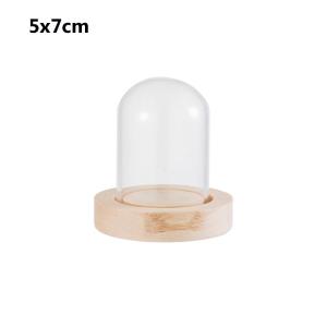 GTRBFDS Terrarium Tabletop Plants Terrarium Transparent Bottle Jar Flower Storage box Glass cloche Wooden base Dust Cover