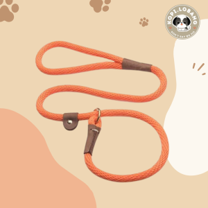 ✅[SG] MR. SLIP LEASH NO-PULL 5 Feet ★ Loose Leash Walking & Training ★ FREE Loose Leash Walking e-Guide Worth $7★ SG Stock ★ Kopi Lobang