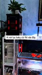 Bộ Lọc Baki 3 Tầng Cho Hồ Koi 200-400L - Đã Khoan Sẵn Kèm Bơm Baoyu 30W UV 5W & Vật Liệu (A)
