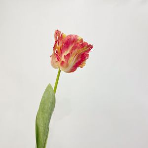 Bunga 3D Parrot Tulip Artificial/Bunga Dekorasi
