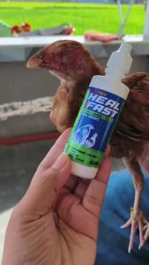 [BEST PRICE] HEAL FAST 60ML Poultry Oral Drops for Chicken Gamefowl Respiratory Care Sipon One Eye Cold Mucus