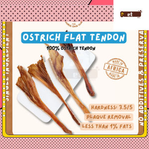 Air Dried Ostrich Flat Tendon (single ingredient dog treats dog dental chew)
