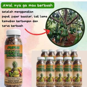 Pupuk zuper booster pupuk organik mempercepat pertumbuhan dan pembuahan (1 paket isi 10 botol)
