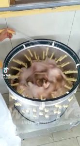 Karet Pencabut Bulu Ayam: Cara Menggunakan & Keuntungannya